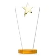 Mantella Gold Star Award - Amber | https://www.bestnamebadges.com