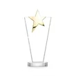Mantella Gold Star Award - Clear | https://www.bestnamebadges.com