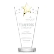 Mantella Gold Star Award - Clear | https://www.bestnamebadges.com