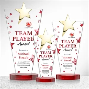 Mantella Gold Star VividPrint™ Award - Red | https://www.bestnamebadges.com