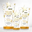 Mantella Gold Star VividPrint™ Award - Amber | https://www.bestnamebadges.com