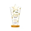 Mantella Gold Star VividPrint™ Award - Amber | https://www.bestnamebadges.com