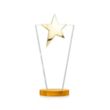 Mantella Gold Star VividPrint™ Award - Amber | https://www.bestnamebadges.com