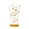 Mantella Gold Star VividPrint™ Award - Amber | https://www.bestnamebadges.com