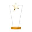 Mantella Gold Star VividPrint™ Award - Amber | https://www.bestnamebadges.com