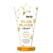 Mantella Gold Star VividPrint™ Award - Amber | https://www.bestnamebadges.com