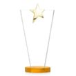 Mantella Gold Star VividPrint™ Award - Amber | https://www.bestnamebadges.com