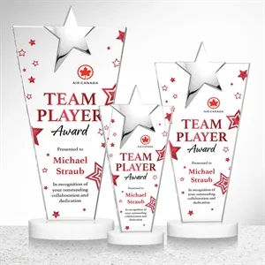 Mantella Chrome Star VividPrint™ Award - White | https://www.bestnamebadges.com