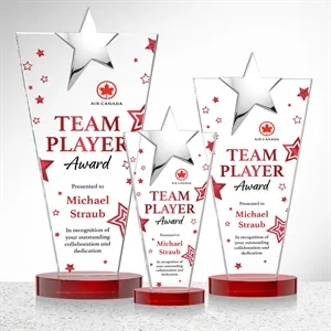 Mantella Chrome Star VividPrint™ Award - Red | https://www.bestnamebadges.com