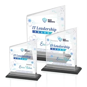 Bellamy VividPrint™ Award - Black | https://www.bestnamebadges.com