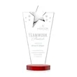 Mantella Chrome Star Award - Red | https://www.bestnamebadges.com
