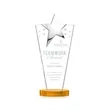 Mantella Chrome Star Award - Amber | https://www.bestnamebadges.com