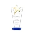 Mantella Gold Star Award - Blue | https://www.bestnamebadges.com