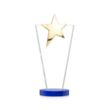 Mantella Gold Star Award - Blue | https://www.bestnamebadges.com