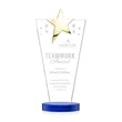 Mantella Gold Star Award - Blue | https://www.bestnamebadges.com