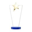 Mantella Gold Star Award - Blue | https://www.bestnamebadges.com