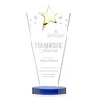 Mantella Gold Star Award - Blue | https://www.bestnamebadges.com