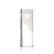 Artemus Star Award | https://www.bestnamebadges.com
