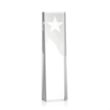 Artemus Star Award | https://www.bestnamebadges.com