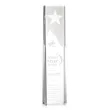 Artemus Star Award | https://www.bestnamebadges.com