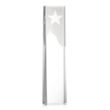 Artemus Star Award | https://www.bestnamebadges.com