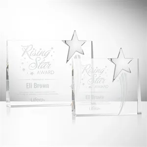 Bradenton Chrome Star Award | https://www.bestnamebadges.com