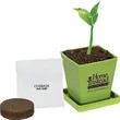 Mini Bamboo Planter | https://www.bestnamebadges.com