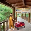 Compact Folding Wagon | https://www.bestnamebadges.com