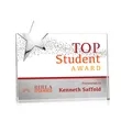 Denham Star VividPrint™ Award - Silver | https://www.bestnamebadges.com