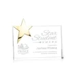 Denham Star Award - Gold | https://www.bestnamebadges.com