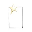 Denham Star Award - Gold | https://www.bestnamebadges.com