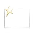 Denham Star Award - Gold | https://www.bestnamebadges.com