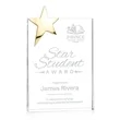 Denham Star Award - Gold | https://www.bestnamebadges.com