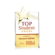 Denham Star VividPrint™ Award - Gold | https://www.bestnamebadges.com