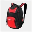 SwissDigital® Antibacterial Large Travel RFID Backpack | https://www.bestnamebadges.com