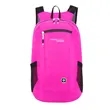 Packable SwissDigital® SEAGULL Lightweight Large Backpack | https://www.bestnamebadges.com