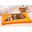 Pet Bed | https://www.bestnamebadges.com