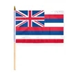 4"x6" & 12"x18'' Hawaii ePoly Printed Stick Flags | https://www.bestnamebadges.com