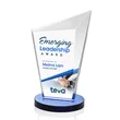 Wiltshire VividPrint™ Award - Blue | https://www.bestnamebadges.com
