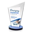 Wiltshire VividPrint™ Award - Blue | https://www.bestnamebadges.com