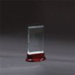 Statute Small Award | https://www.bestnamebadges.com