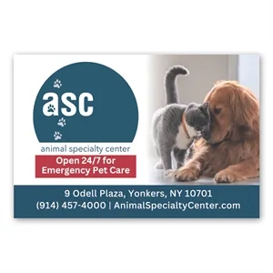 Rectangle Magnet 2 x 3 | https://www.bestnamebadges.com