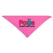 Large Triangle rPET Pet Bandana | https://www.bestnamebadges.com