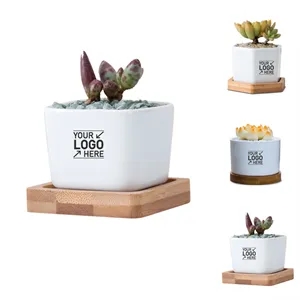 Square Ceramic Planter Pots With Bamboo Tray, Cylindrical