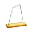 Summit Award - Amber | https://www.bestnamebadges.com