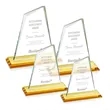 Summit Award - Amber | https://www.bestnamebadges.com