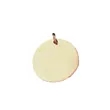 Pet Id Tag | https://www.bestnamebadges.com