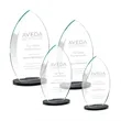 Windermere Award - Black | https://www.bestnamebadges.com