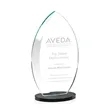 Windermere Award - Black | https://www.bestnamebadges.com
