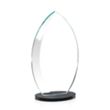 Windermere Award - Black | https://www.bestnamebadges.com